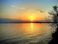 IMG_20140518_212111.jpg