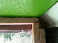 20140705_123618.jpg