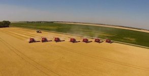 wheat harvest.jpg