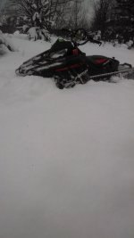 IMG_20141114_101140712.jpg