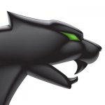 cat logo.jpg