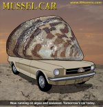 Mussel-Car-3.jpg