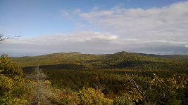 superior and tick from deer.jpg