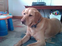 martin on floor new house.jpg