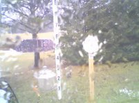 image-1740592725.jpg