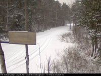 trailcam2.jpg