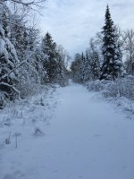 IMG_1460.jpg