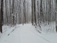 20151231_141559 resize.jpg