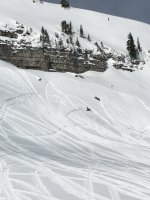 IMG_1698s.jpg