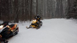 2016-03-04 17.16.36 (800x450).jpg