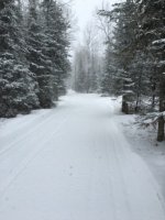 IMG_1743s.jpg