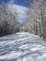 4-9-16 Trail 3 near firesteel trestles.jpg