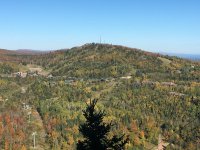 IMG_2516.jpg
