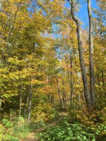 IMG_2494.jpg