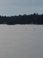 lake nokomis 12-5-15.jpg