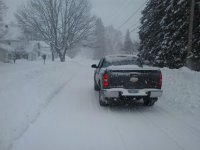Winter - 1-11-17 001.jpg