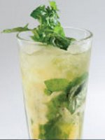 mint_julep2.jpg