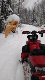IMG_20170129_113842233.jpg