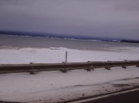 DSC02393.jpg