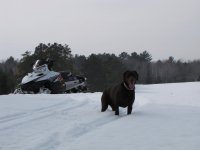 IMG_0221.jpg