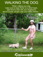 safety_tip_walking_dog.jpg