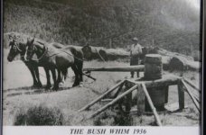 ianab_kauri_museum_horse_winch_pic.jpg