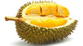 Durian2.jpg