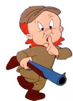 ELmer Fudd - Hunting Wabbits.jpg