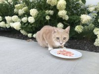 IMG_6048.jpg IMG_6048.jpg