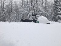 IMG_0019.jpg IMG_0019.jpg