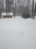 snow 1-11-17.jpg