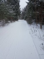 Trail 10 E south of Squirrel Lake.jpg