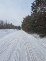 Trail 17 Railroad Grade near Fence Lake.jpg