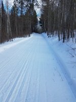 1-29-18 9n trail.jpg