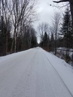 1-29-18 railroad grade (trail 17 near fence lake).jpg