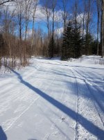 2-8-18 c trail.jpg