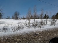 Laurium Glacier 2 - 04-10-18.jpg