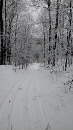 IMG_20181222_122856341.jpg