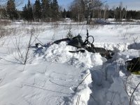 IMG_1727.jpg
