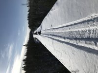 IMG_1731.jpg