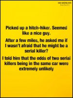 the hitchhiker.jpg
