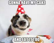 birthday dog.jpg