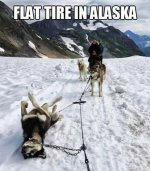 Flat Tire.jpg