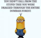 Stupid.jpg