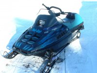 Polcat2.jpg Polcat2.jpg