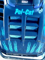 polcat.jpg polcat.jpg