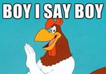 fc63ba62f7a6af398297b4b41f213df8--twin-boys-foghorn-leghorn.jpg