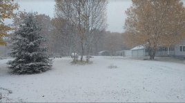 First Snow Oct 16 2020.JPG