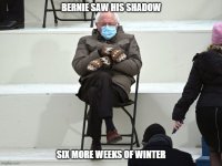 Bernie.jpg