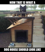 Dog House.png